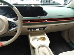 ORA Good Cat GT 2023 Mulan Edition 401km Prestige - ფოტო 13