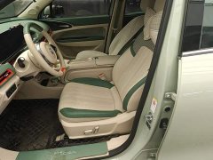 ORA Good Cat GT 2023 Mulan Edition 401km Prestige - ფოტო 15