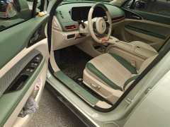 ORA Good Cat GT 2023 Mulan Edition 401km Prestige - ფოტო 16