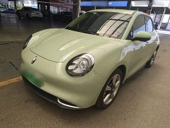 ORA Good Cat GT 2023 Mulan Edition 401km Prestige - ფოტო 2