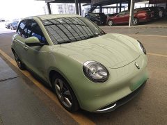 ORA Good Cat GT 2023 Mulan Edition 401km Prestige - ფოტო 4
