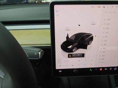 Tesla Model Y Facelift Rear-Wheel Drive - ფოტო 13