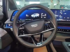 Cadillac IQ Aoge Standard Range - ფოტო 11