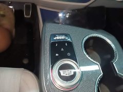 Cadillac IQ Aoge Standard Range - ფოტო 14