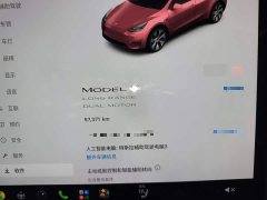 Tesla Model Y 2022 Facelift Long Range All-Wheel Drive - ფოტო 12