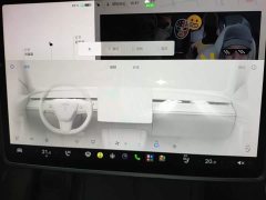 Tesla Model Y 2022 Facelift Long Range All-Wheel Drive - ფოტო 13