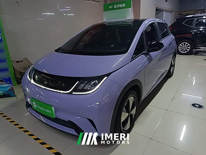 BYD Dolphin 2023 420km Fashion Edition - ავტომობილი ჩინეთიდან