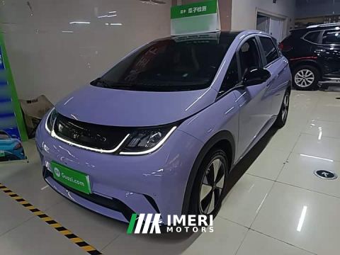 2024 BYD Dolphin 420km Fashion Edition