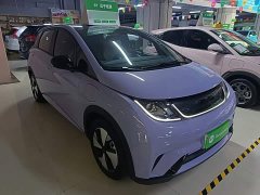 BYD Dolphin 2023 420km Fashion Edition - ფოტო 4