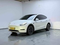 Tesla Model Y 2023 Rear-Wheel Drive - ფოტო 1