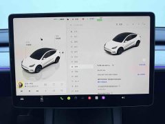 Tesla Model Y 2023 Rear-Wheel Drive - ფოტო 12