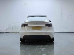 Tesla Model Y 2023 Rear-Wheel Drive - ფოტო 6