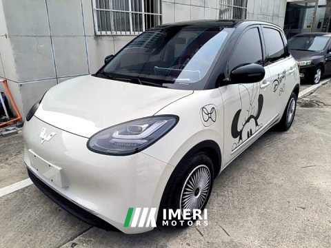 2024 Wuling Binguo 2023 333km Lingxi Connected Plus - ავტომობილი ჩინეთიდან