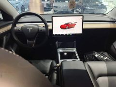 Tesla Model 3 2022 Rear-Wheel Drive - ფოტო 10