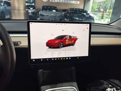 Tesla Model 3 2022 Rear-Wheel Drive - ფოტო 13