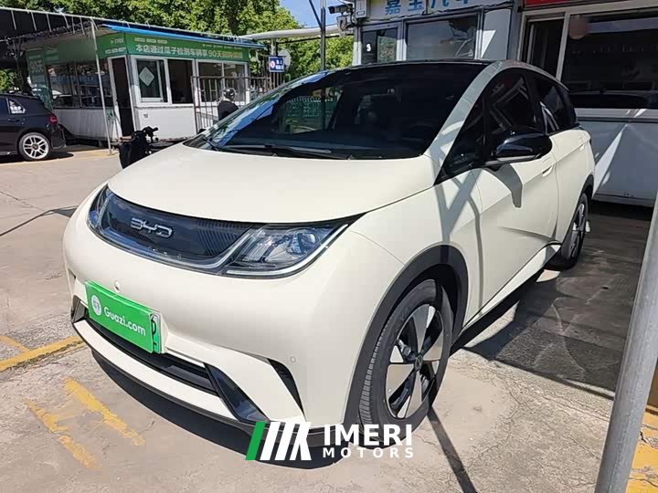 BYD Dolphin 420km Fashion Edition - ავტომობილი ჩინეთიდან