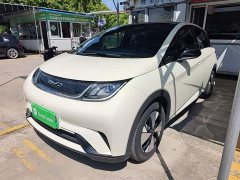 BYD Dolphin 420km Fashion Edition - ფოტო 1