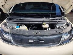 BYD Dolphin 420km Fashion Edition - ფოტო 16