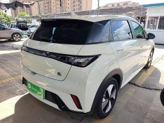 BYD Dolphin 420km Fashion Edition - ფოტო 5