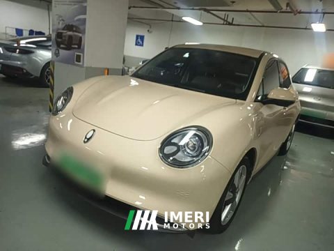 2023 ORA Good Cat 401km Standard Range Deluxe LFP - ავტომობილი ჩინეთიდან
