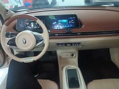 ORA Good Cat 401km Standard Range Deluxe LFP - ფოტო 10
