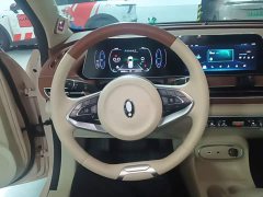 ORA Good Cat 401km Standard Range Deluxe LFP - ფოტო 11