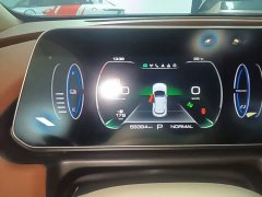 ORA Good Cat 401km Standard Range Deluxe LFP - ფოტო 12