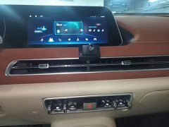 ORA Good Cat 401km Standard Range Deluxe LFP - ფოტო 13