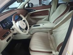 ORA Good Cat 401km Standard Range Deluxe LFP - ფოტო 15