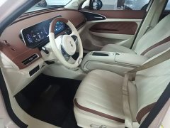ORA Good Cat 401km Standard Range Deluxe LFP - ფოტო 16