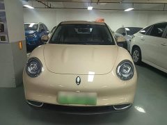 ORA Good Cat 401km Standard Range Deluxe LFP - ფოტო 3