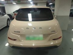 ORA Good Cat 401km Standard Range Deluxe LFP - ფოტო 6