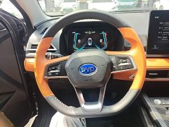 BYD e2 2020 Upgrade Edition Standard Range Comfort - ფოტო 11