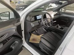 BYD Song Pro New Energy DM-i 115KM Excellence Edition with Smart Driving - ფოტო 16