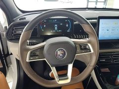 BYD Qin PLUS 2023 Champion Edition DM-i 55KM Leading - ფოტო 11