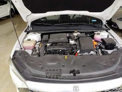 BYD Qin PLUS 2023 Champion Edition DM-i 55KM Leading - ფოტო 20