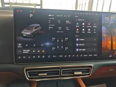 Li Auto L9 2022 Max - ფოტო 13