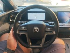 BYD Qin L DM-i Smart Drive Edition 120KM Superior - ფოტო 11
