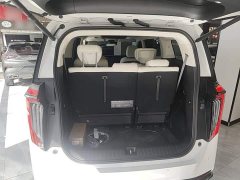 GAC Aion E9 MAX - ფოტო 19