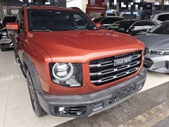 Great Wall Dachshund 2.0T DCT Four-Wheel Drive Chinese Rural Dog Edition - ფოტო 4