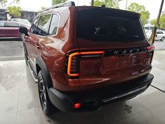 Great Wall Dachshund 2.0T DCT Four-Wheel Drive Chinese Rural Dog Edition - ფოტო 5