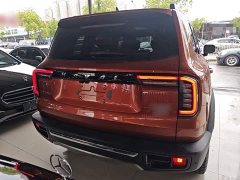 Great Wall Dachshund 2.0T DCT Four-Wheel Drive Chinese Rural Dog Edition - ფოტო 6
