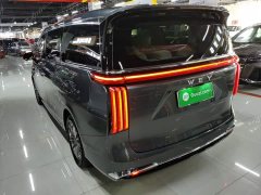 Great Wall WEY Shanshan New Energy Four-Wheel Drive Shanshan 8 - ფოტო 5