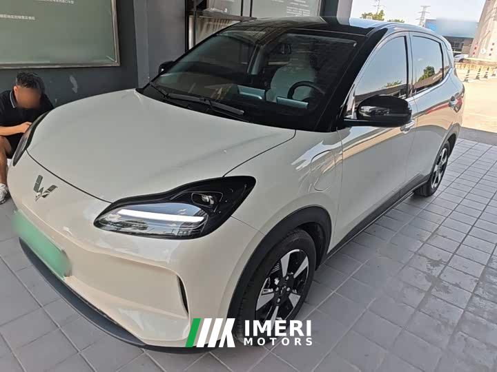 Wuling Binguo PLUS 330km 5-Seater