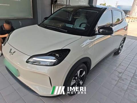 2025 Wuling Binguo PLUS 330km 5-Seater