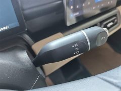 Wuling Binguo PLUS 2024 330km 5-Seater - ფოტო 14