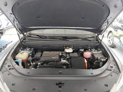 BYD Song Pro New Energy 2022 DM-i 51km Luxury - ფოტო 20