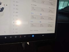 Tesla Model 3 2022 Rear-Wheel Drive - ფოტო 12