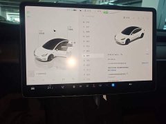Tesla Model 3 2022 Rear-Wheel Drive - ფოტო 13