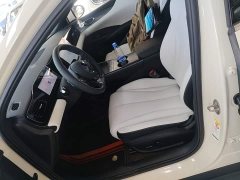 BYD Dolphin 06 EV 545KM Deluxe Edition - ფოტო 15